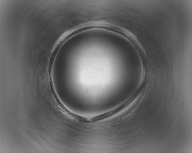 X0000082161176200701191234
