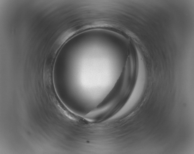 X0000082161177200701191234