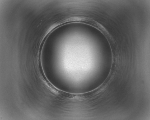 X0000082161178200701191234