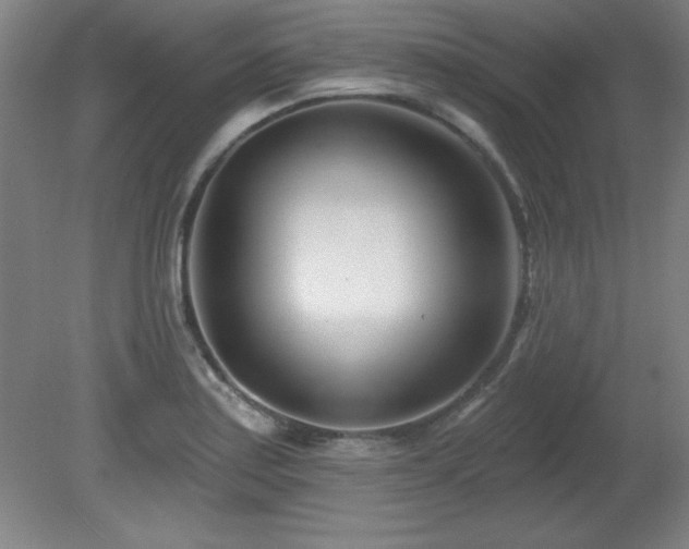 X0000082161179200701191234