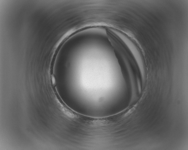 X0000082161181200701191234