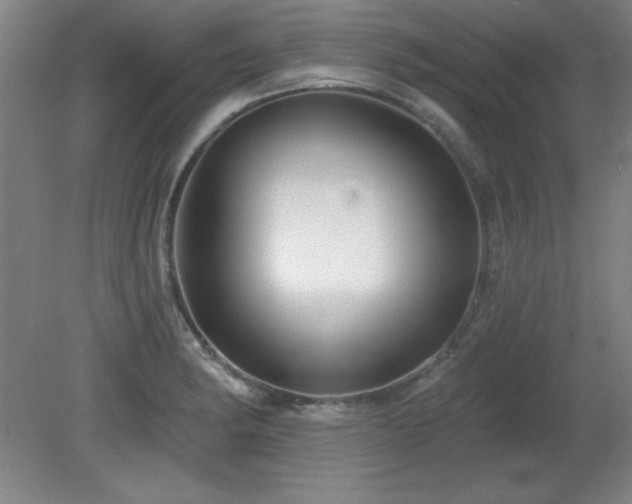X0000082161182200701191234