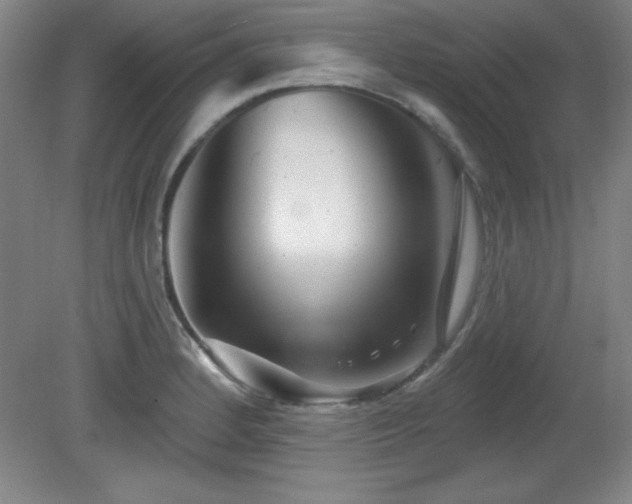 X0000082161184200701191234