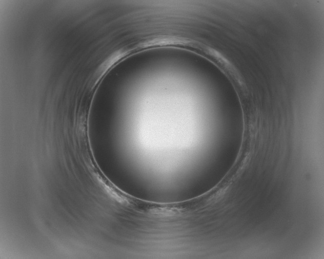 X0000082161185200701191234