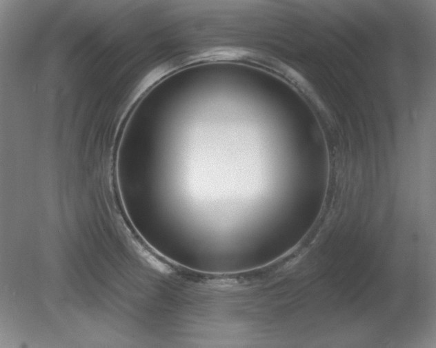 X0000082161186200701191234