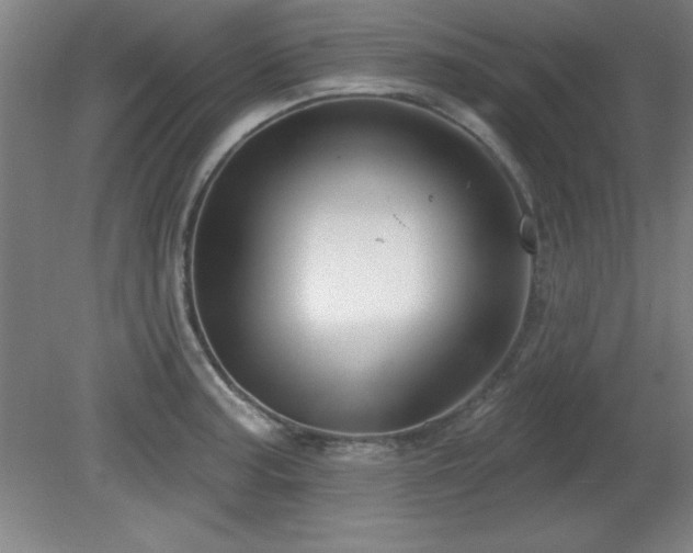 X0000082161187200701191234