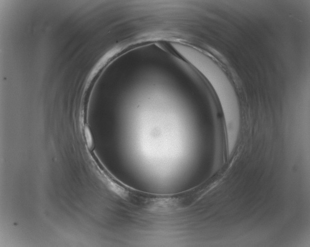 X0000082161188200701191233