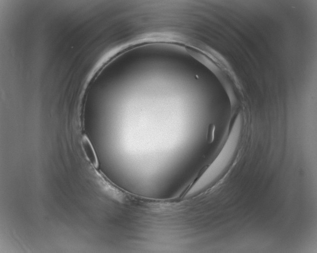 X0000082161192200701191233