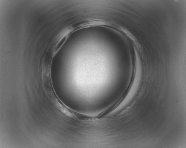 X0000082161193200701191233