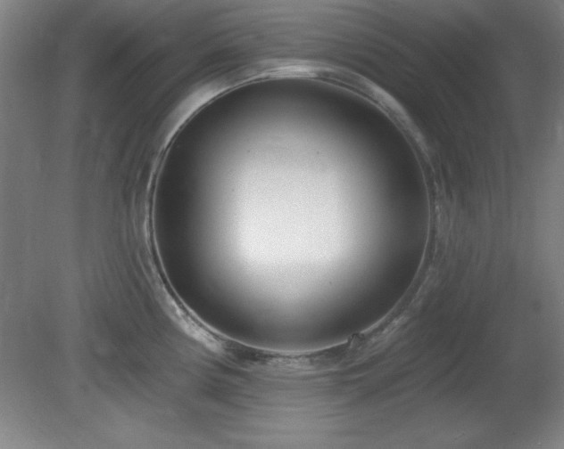 X0000082161194200701191233