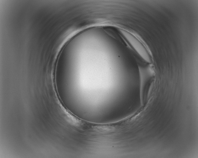 X0000082161197200701191233