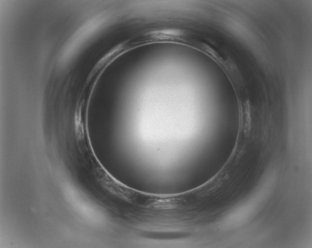 X0000082161198200701191233