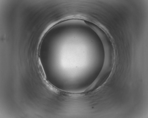 X0000082161200200701191233
