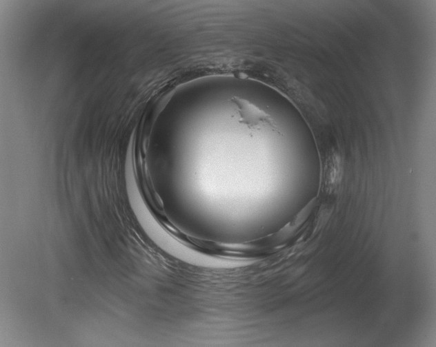 X0000082161202200701191232