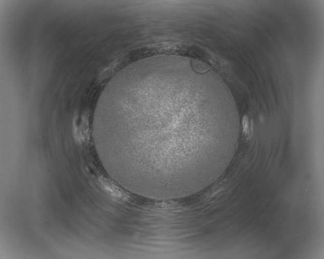 X0000082161203200701191233
