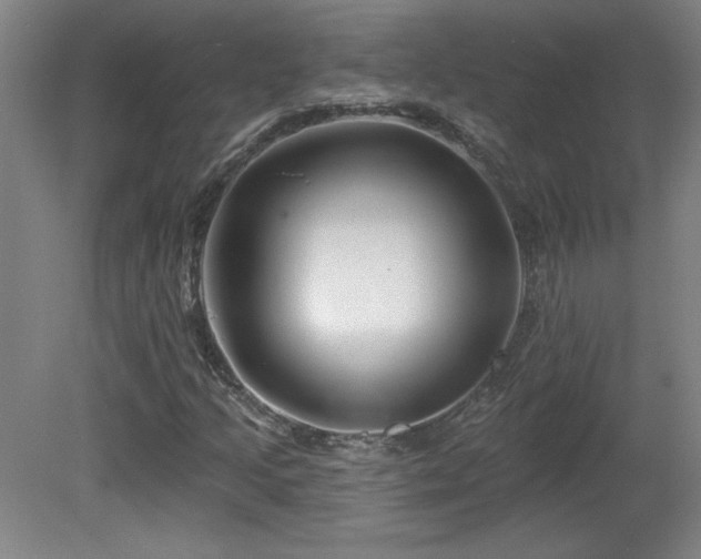 X0000082161205200701191233