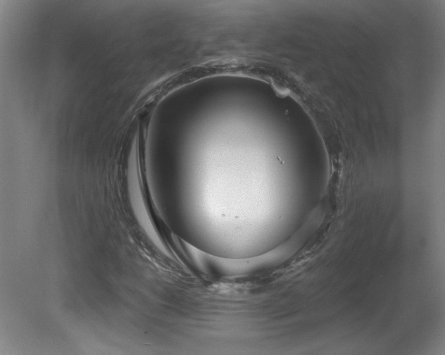 X0000082161206200701191233