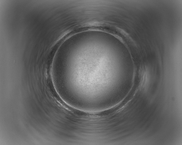 X0000082161209200701191233