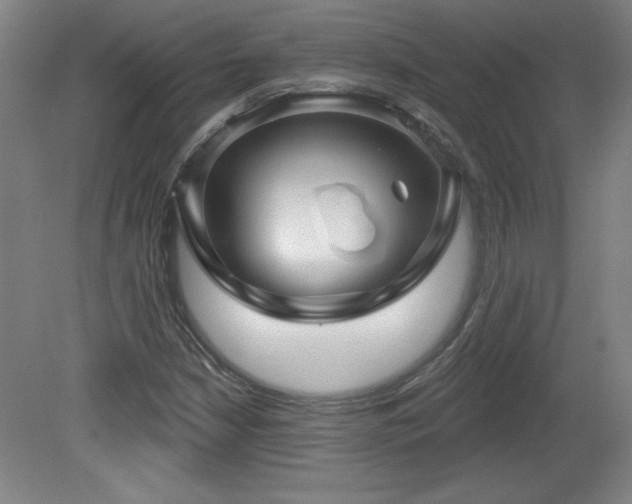 X0000082161210200701191233
