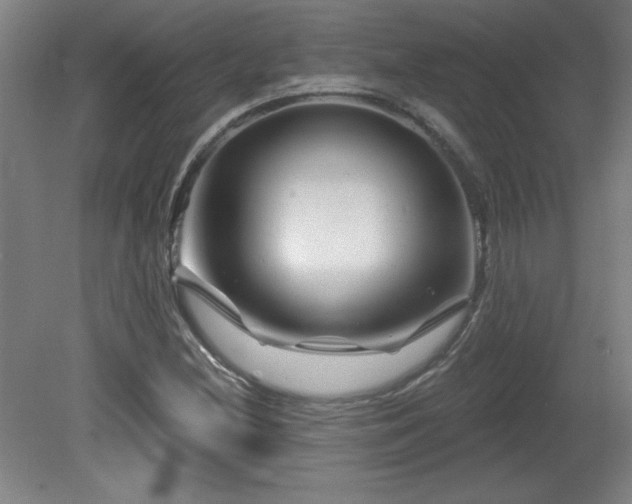 X0000082161212200701191233