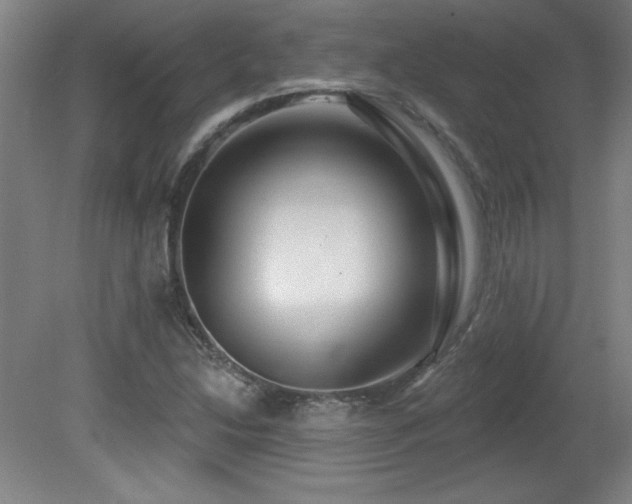 X0000082161214200701191233