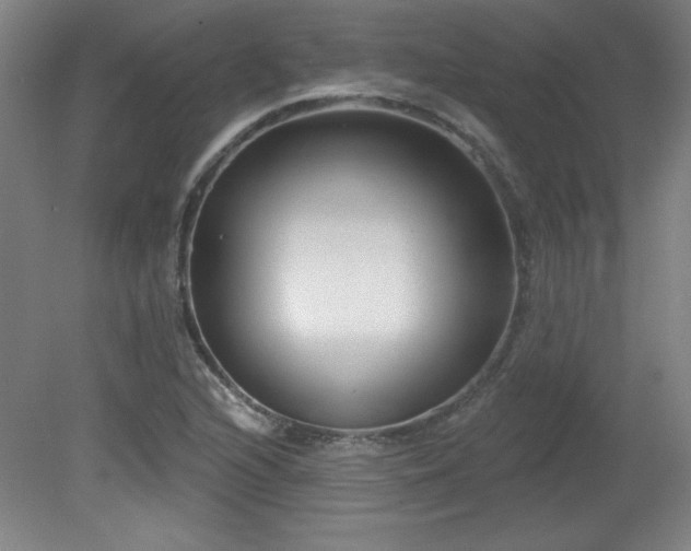 X0000082161216200701191233