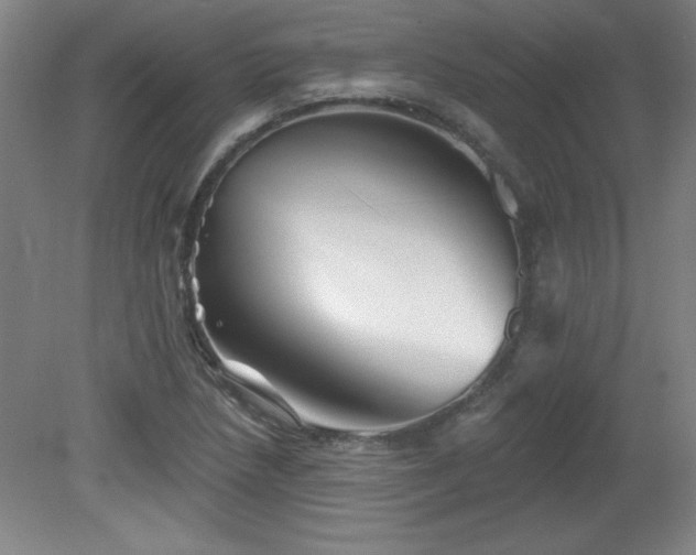 X0000082161218200701191233