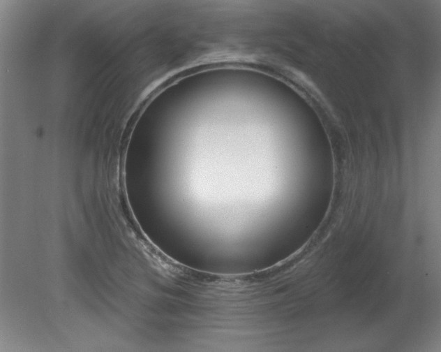 X0000082161220200701191233