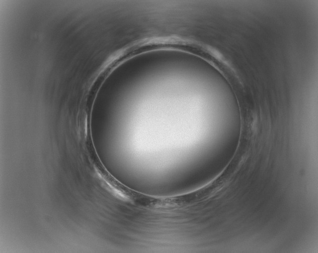 X0000082161221200701191233