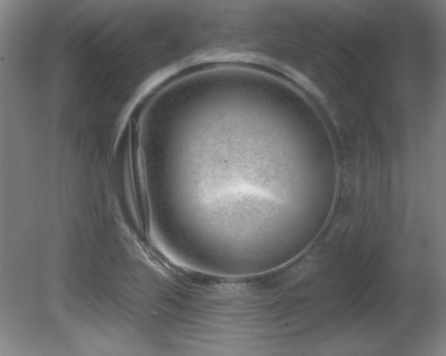 X0000082161223200701191233