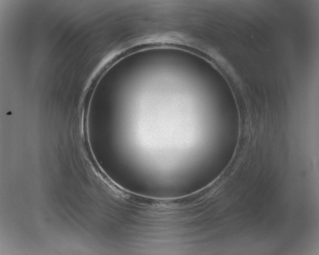 X0000082161224200701191233