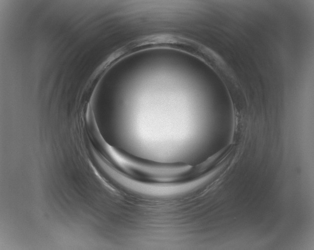 X0000082161225200701191233