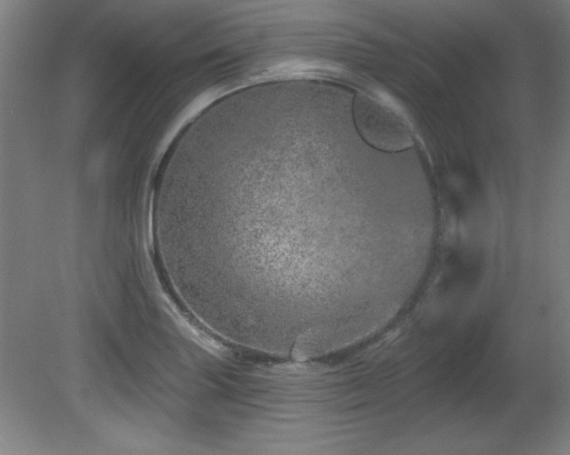 X0000082161227200701191233