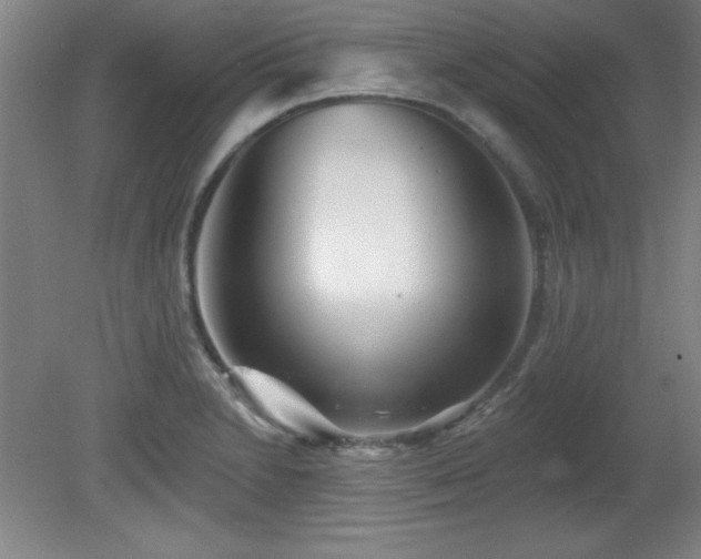 X0000082161230200701191233