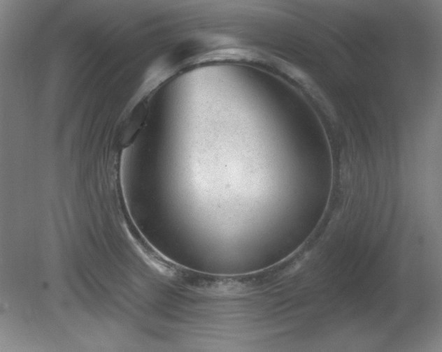 X0000082161233200701191233