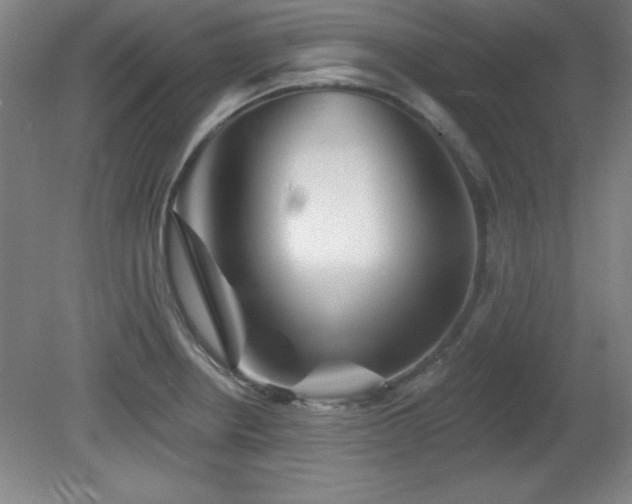 X0000082161234200701191233