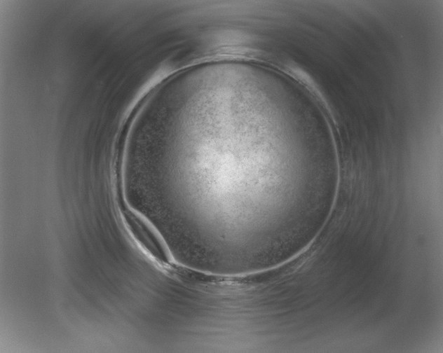 X0000082161235200701191233