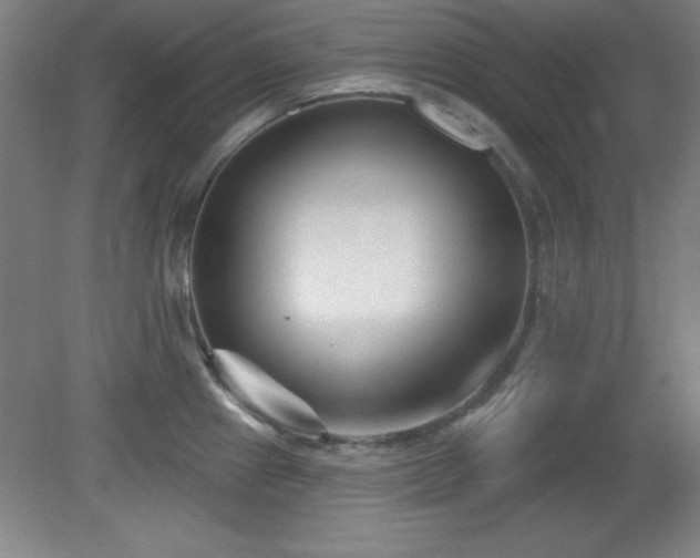 X0000082161241200701191233