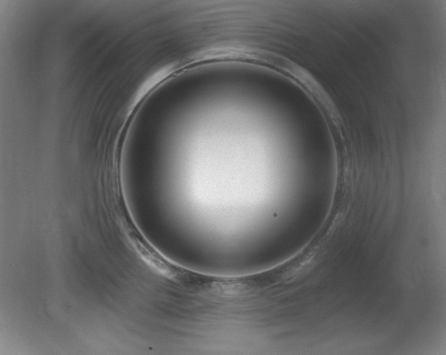 X0000082161242200701191233
