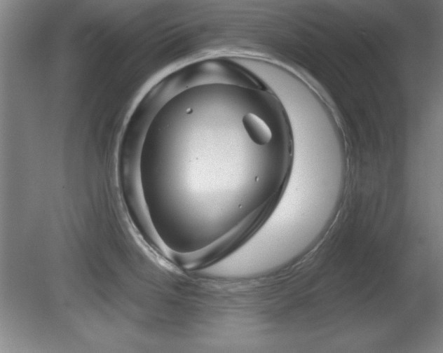 X0000082161246200701191233