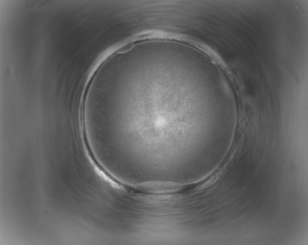 X0000082161247200701191233