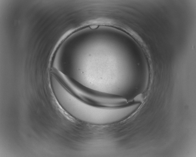 X0000082161248200701191233