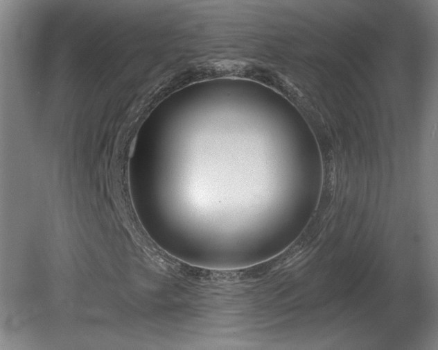X0000082161249200701191232
