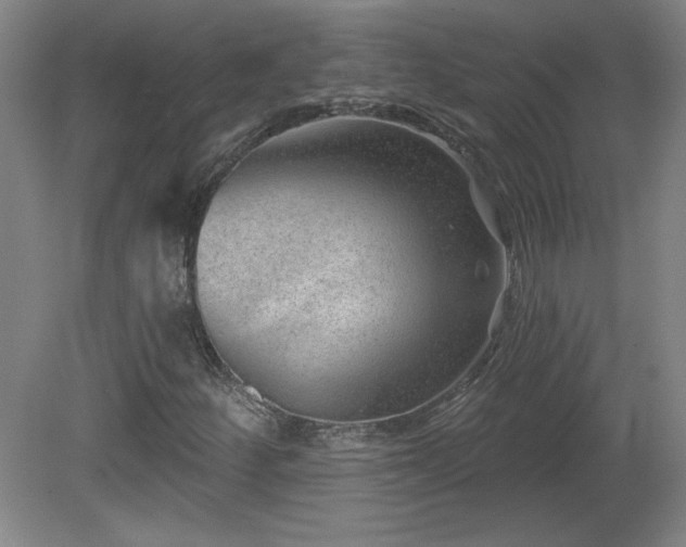 X0000082161252200701191232