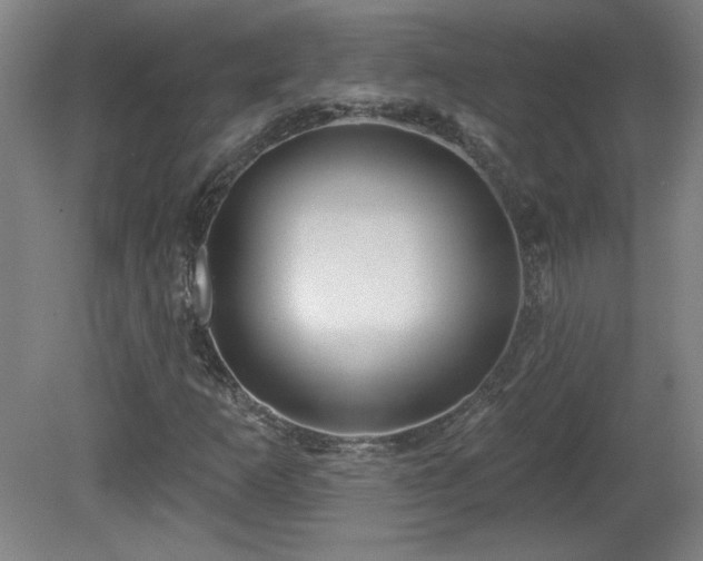 X0000082161253200701191232
