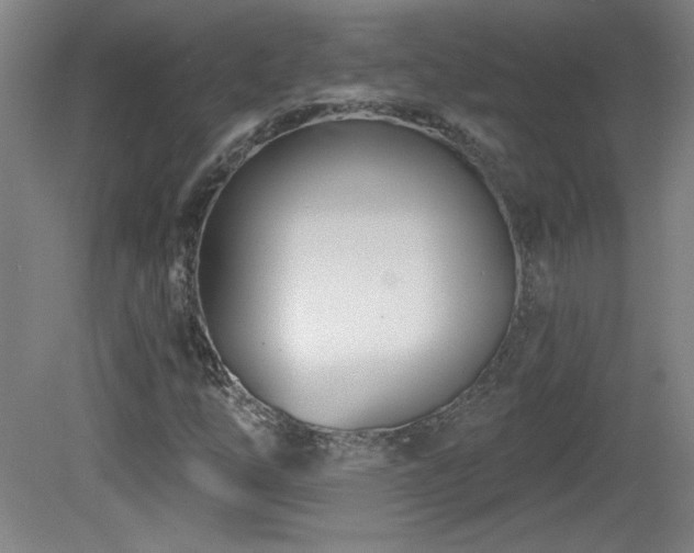 X0000082161254200701191232