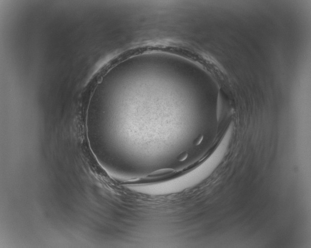 X0000082161256200701191232