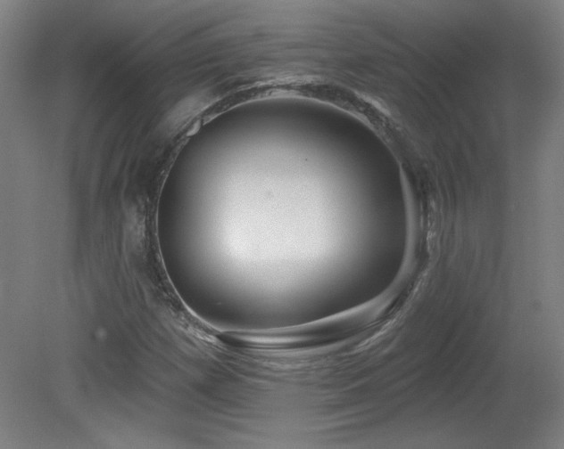 X0000082161257200701191232