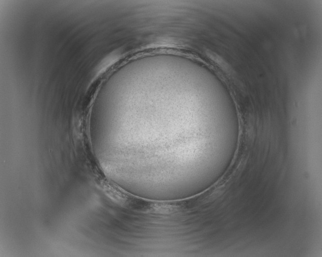 X0000082161258200701191232
