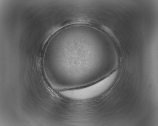 X0000082161260200701191232